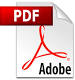 pdf-Icon